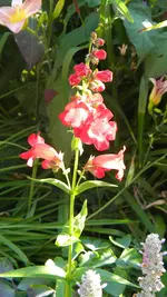 DSCN3325.webp