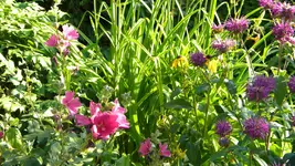 DSCN3326.webp