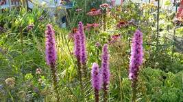 DSCN3328.webp