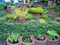 02072012685.webp