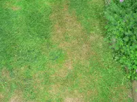 P1020018.webp