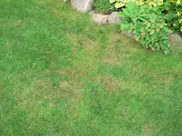P1020020.webp