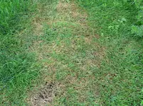 P1020024.webp