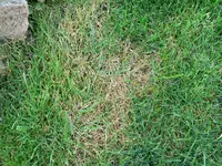 P1020025.webp