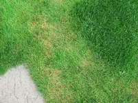 P1020026.webp