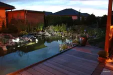 2008-08-16 Im Garten 0031.webp