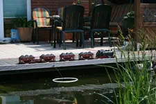 IMG_0988.webp