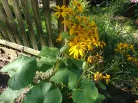 DSC08950.webp