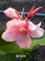 P1000102.webp