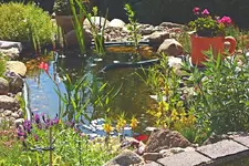 600erTeich1_smaller.webp