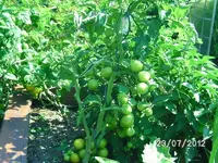 k-BILD1255.webp