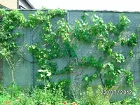 k-BILD1254.webp