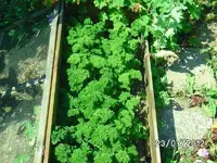 k-BILD1257.webp
