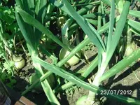 k-BILD1268.webp