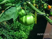 k-BILD1269.webp