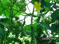 k-BILD1266.webp