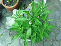 k-BILD1271.webp