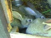 k-BILD1274.webp