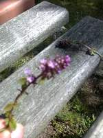 Foto0768.webp