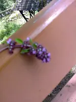Foto0770(1).webp