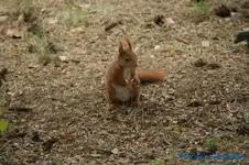 comp_DSC08109.webp