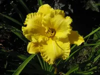 IMG_fragezeichen 5.2_1024x768.webp