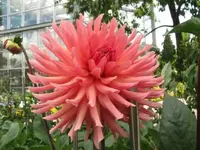 068.webp