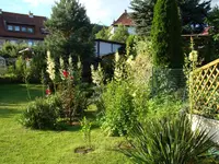 Nest Mitte-Palmlilien, Rosen,Hibiscus,Weiße Forsythie.webp