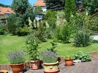 Ostflanke, Zustand jetzt.webp