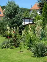 Ostflanke.webp