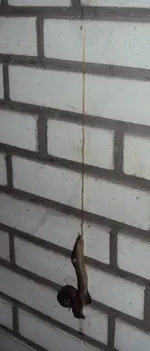 DSC03080 - 2012-07-26 - atemberaubend nachts um 0-30 uhr.webp