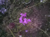 2012-07-23 21.45.04.webp
