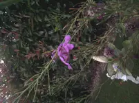 2012-07-23 21.45.22.webp