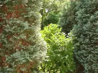 DSC08905.webp