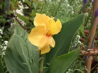 DSCF2072.webp