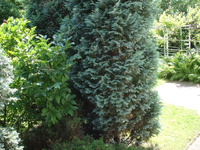 DSC08910.webp