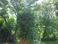DSC08912.webp