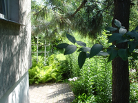 DSC08911.webp