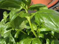 IMG_20120726_102848.webp