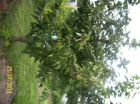 100_4709.webp