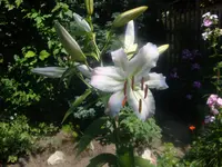 DSC08994.webp