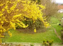 DSCI0367_gartenforum.webp