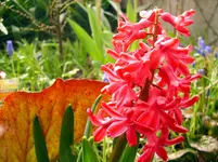DSCI0371_gartenforum.webp