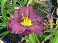 IMG_fata morgana2_1024x768.webp