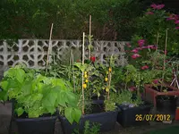 Bottiche III 100_1149 (Large).webp