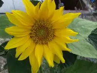 011.webp