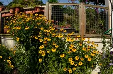 20120727-095442-MIO_6281.webp