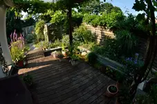 20120727-095916-MIO_6309.webp