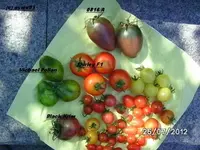 BILD0426.webp