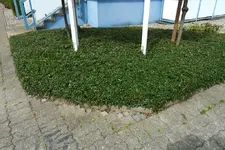 P1020251.webp
